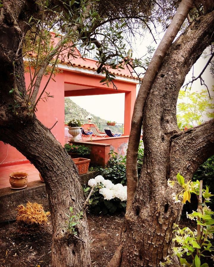 Villa Le Petit Paradis Taormina Zewnętrze zdjęcie